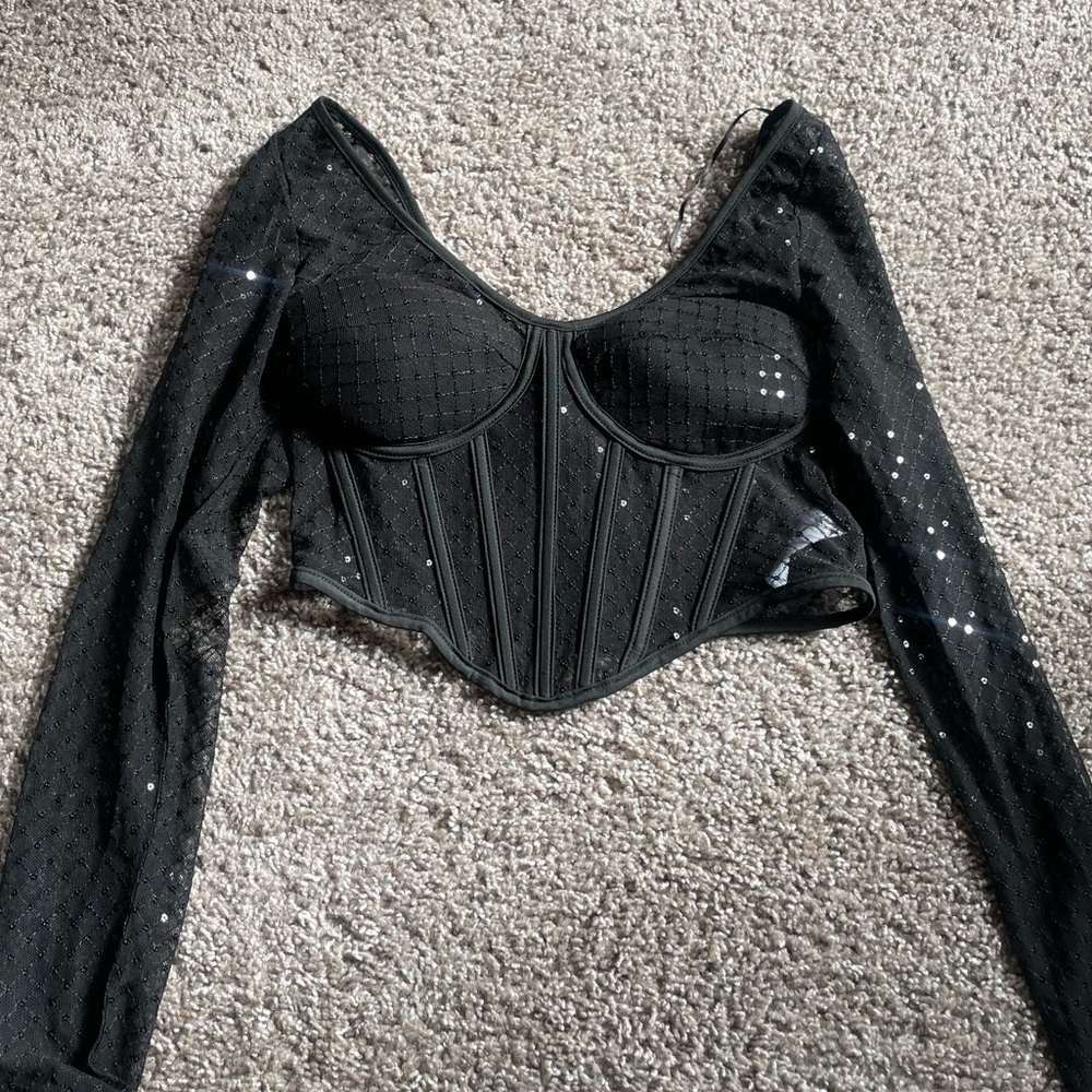 Sincerely Jules Black Sheer Long Sleeve Blouse